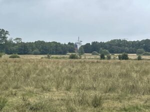 Reiseblog - Nord-Ostsee-Kanal - Frachtschiff in Moorlandschaft