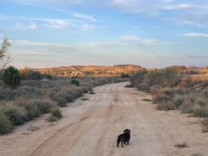 Reiseblog - Ebro - abends am Ebro