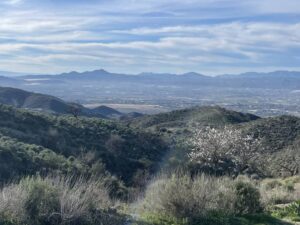 Reiseblog - Ebene vor Lorca