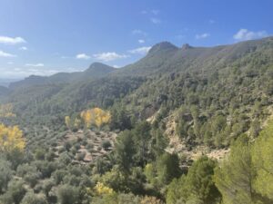 Reiseblog - Parque Natural de Los Calares 2