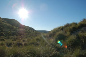 Landschaftsbild im Cabo de Gata: Karge Landschaft mit niedrigem Bewuchs im Hintergrund das Meer