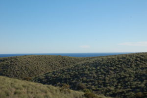 Blick über Hügel einer kargen Landschaft mit niedrigem Bewuchs, im Hintergrund das Meer